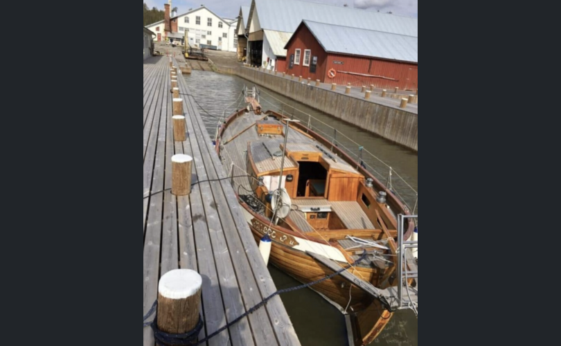 Scylla Scylla-kuva-3